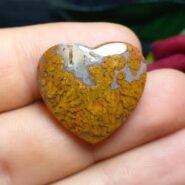 عقیق شجر پاییزه