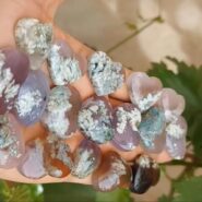 سنگ شجر بهاره