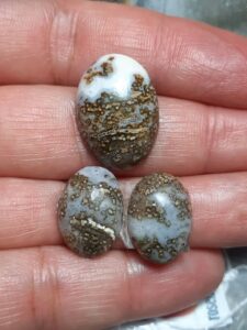 ژاسپر اقیانوسی